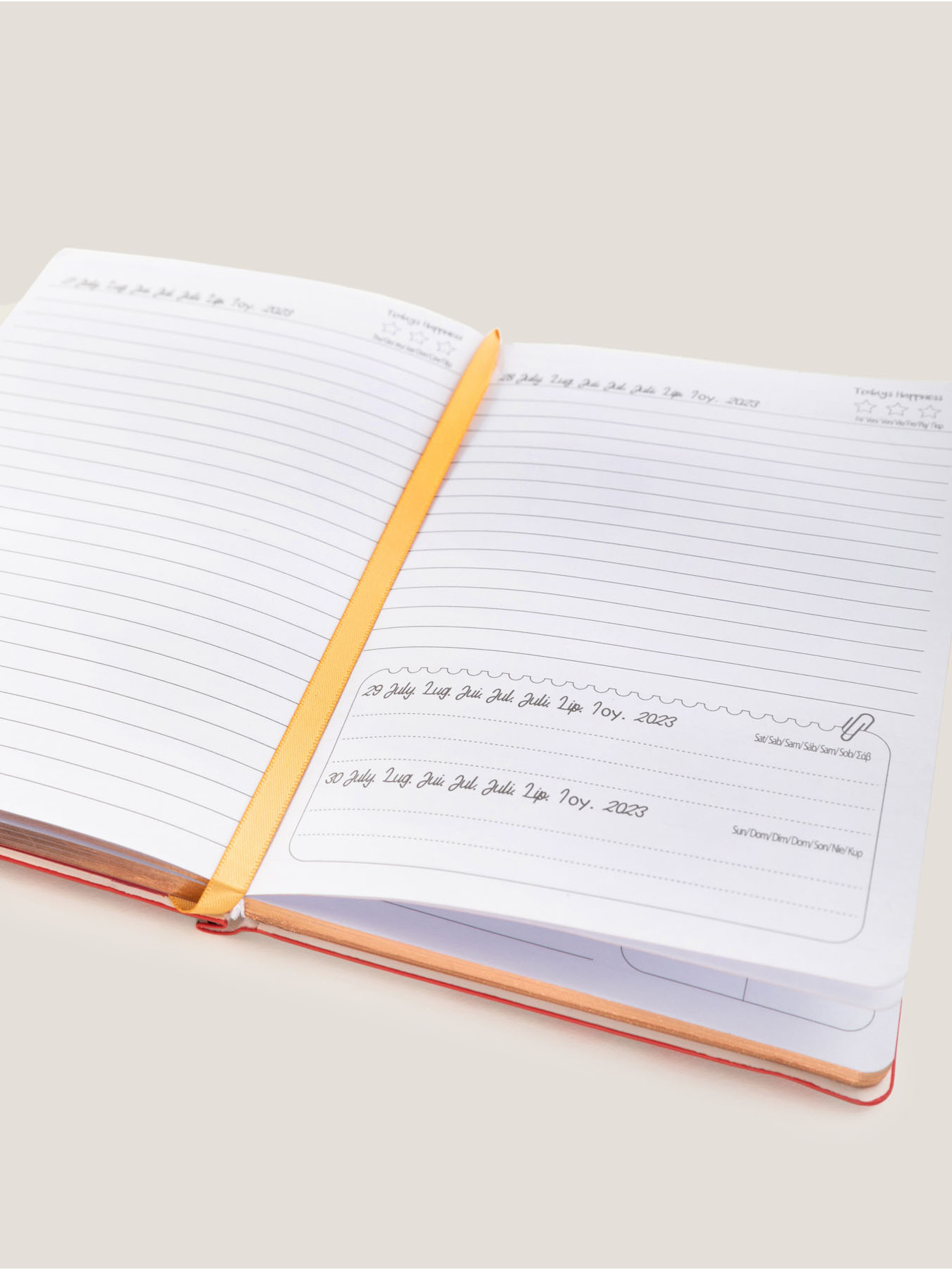 12-month diary image number 2