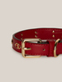 Pet Collection Collar image number 1