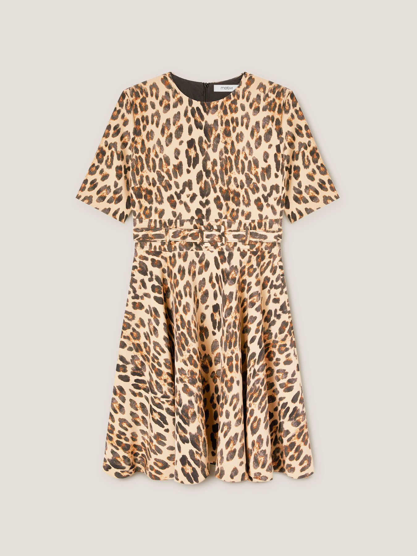 Vestito corto con cintura fantasia animalier image number 3