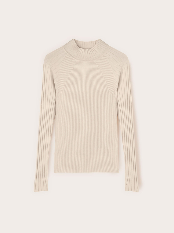 Fitted ribbed turtleneck sweater