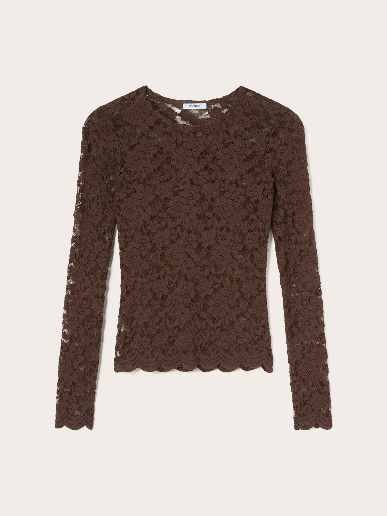 Floral lace T-shirt with scalloped hem image number 4